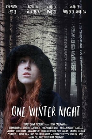 Однажды зимней ночью онлайн
